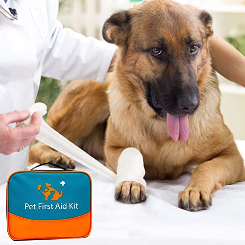 VIP Animal Emergency Kit with Otoscope and Feeder