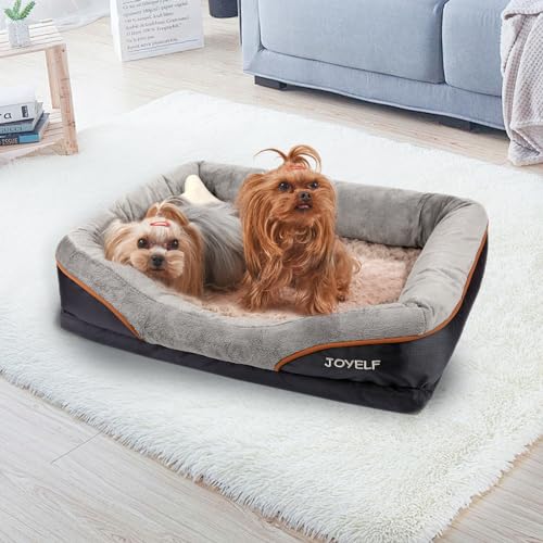 JOYELF X-Large Memory Foam Dog Bed & Sofa