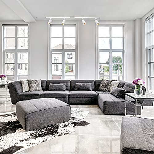 Globe Electric 59740 Tribeca 4-Light Track Lighting Kit