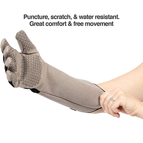 PetFusion Multipurpose Pet Grooming and Handling Glove