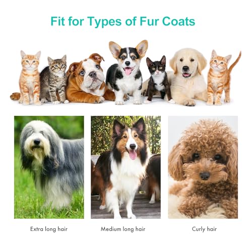 neabot P1 Pro: Pet Grooming Vacuum Kit