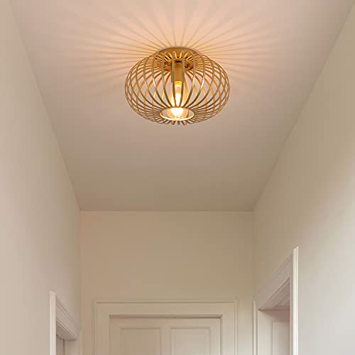 VIP Shopping: Modern Gold Cage Ceiling Light Fixture