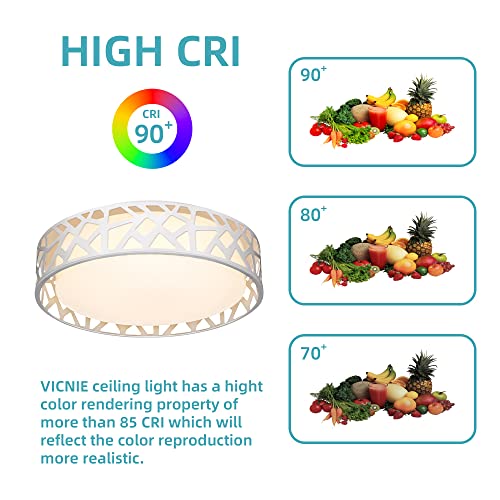 VIP LED Dimmable Ceiling Light, 14" Round Fixture