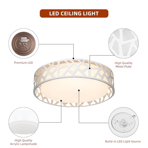 VIP LED Dimmable Ceiling Light, 14" Round Fixture