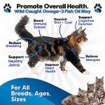 Premium Omega 3 Fish Oil for Cats
