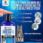 Premium Omega 3 Fish Oil for Cats