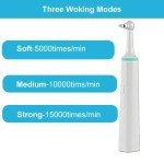 Fencia Electric Tooth Polisher with 4 Heads