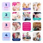 RYERCAT Dual-Sided Cat Toothbrush for Kittens