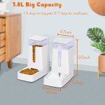 Automatic Pet Feeder and Water Dispenser Set