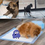 Extra Large Disposable Dog Training Pads 40 Count