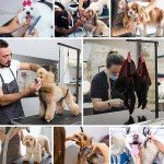 KELIXU Adjustable Pet Grooming Table Arm System