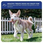 Premium Bully Sticks for Large Dogs - 5-Pack