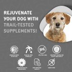 Waggedy Senior Soft Chews with Glucosamine