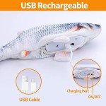 Interactive Fish Toy for Cats - 2 Pack