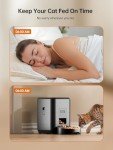 Automatic Cat Feeder with Programmable Portions
