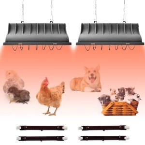 Winter Chicken Coop Heat Lamp, 250W & 175W