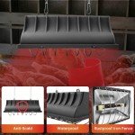 Winter Chicken Coop Heat Lamp, 250W & 175W
