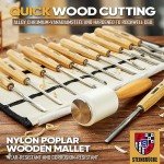 Premium 12-Piece Wood Carving Chisel Kit
