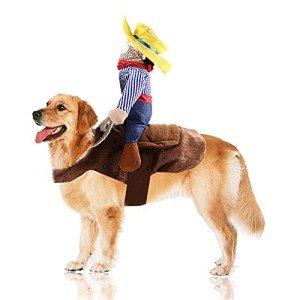 Cowboy Rider Dog Costume for Parties & Halloween
