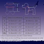 Cowboy Rider Dog Costume for Parties & Halloween