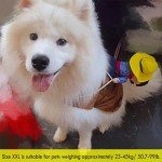 Cowboy Rider Dog Costume for Parties & Halloween