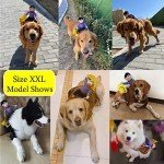 Cowboy Rider Dog Costume for Parties & Halloween