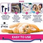 Double-Sided Cat Toothbrush with Micro Head - Space Blue