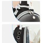 Stylish Astronaut Pet Backpack for Cats and Dogs