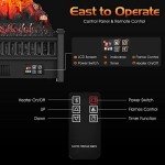 Portable Electric Fireplace with Adjustable Flame Features