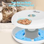 Automatic Timer Pet Feeder with Ice Packs