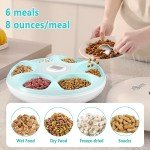 Automatic Timer Pet Feeder with Ice Packs