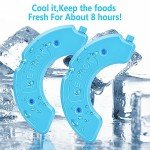 Automatic Timer Pet Feeder with Ice Packs