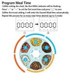 Automatic Timer Pet Feeder with Ice Packs