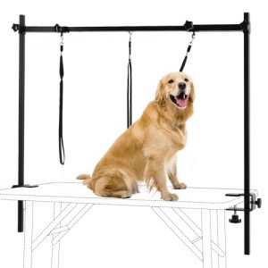 Adjustable Pet Grooming Arm with Clamps and Noose