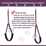 Dog Grooming Loops with Belly Straps (Purple)
