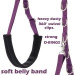 Dog Grooming Loops with Belly Straps (Purple)