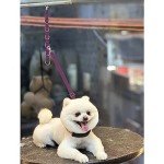 Dog Grooming Loops with Belly Straps (Purple)