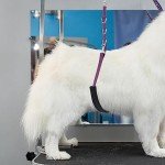 Dog Grooming Loops with Belly Straps (Purple)