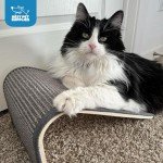 Catify Sisal Climbing Ramp for Indoor Cats