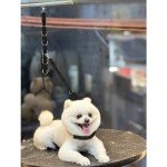 FURSDOLY Dog Grooming Extension Loops - Black
