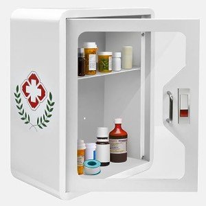 Wall-Mounted Steel Medical Organizer with Lock