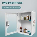 Wall-Mounted Steel Medical Organizer with Lock