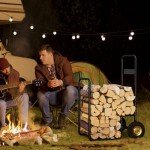 Portable 2-Tier Indoor Firewood Rack - Black