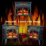 Portable Indoor Electric Fireplace Heater - Dark Green