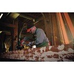 Dewalt 20V MAX XR Brushless Cordless Planer