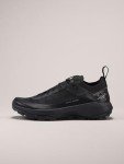 Men's Arc'teryx Vertex Alpine GTX Approach Shoe