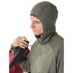 Arc'teryx Men's Delta Pullover Hoody - Forage, Large