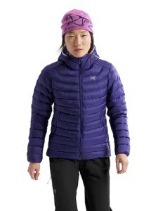 Arc'teryx Women's Packable Down Hooded Jacket