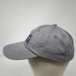 Gray Adjustable Baseball Cap with Embroidered Cameo