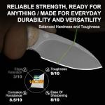 Kizer Drop Bear 2.57" Fixed Blade EDC Knife